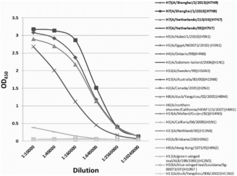 ELISA (Enzyme-linked Immuno Sorbent Assay) kit and detection method for avian influenza H7N9 hemagglutinin HA antigen