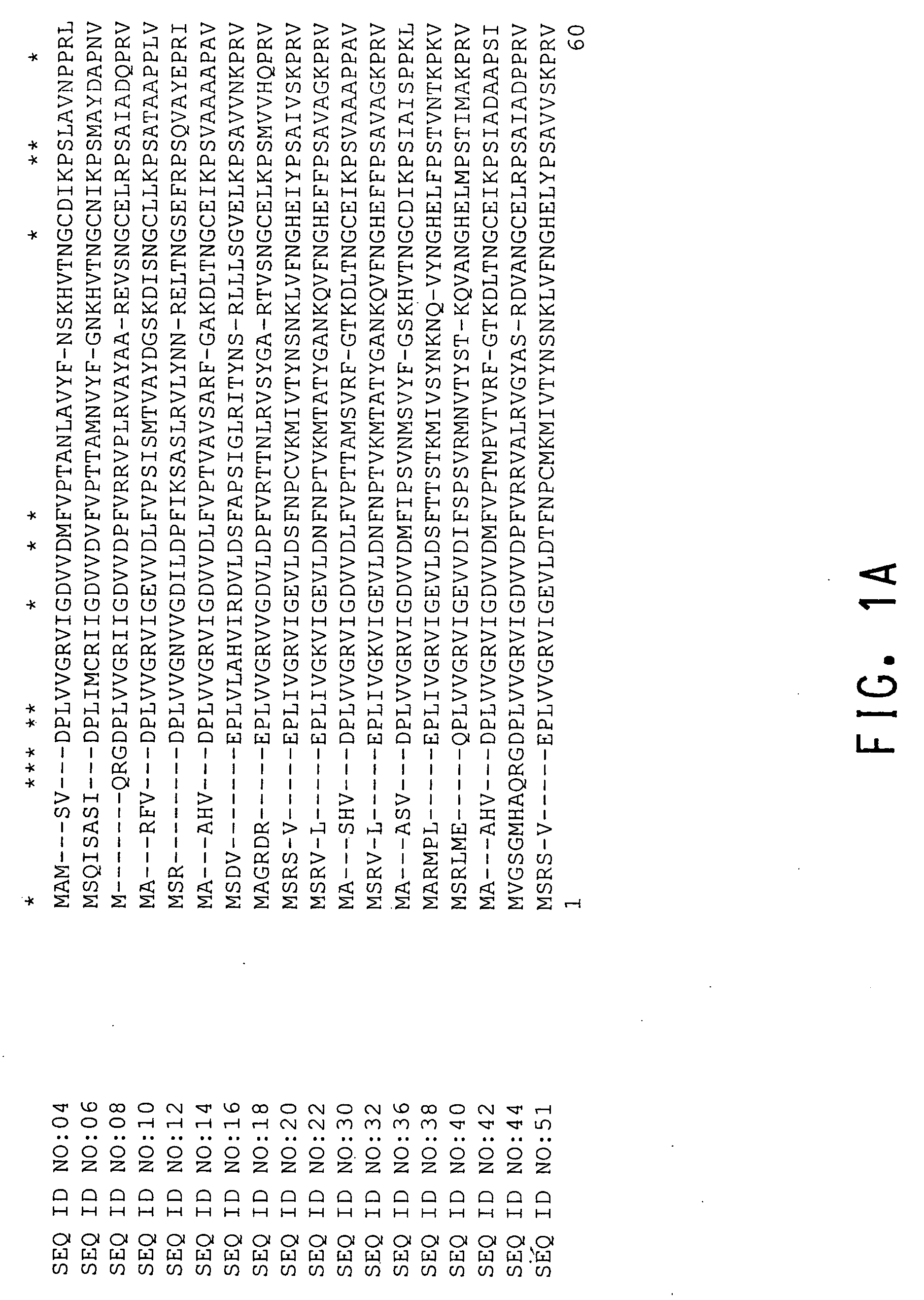 Floral development genes