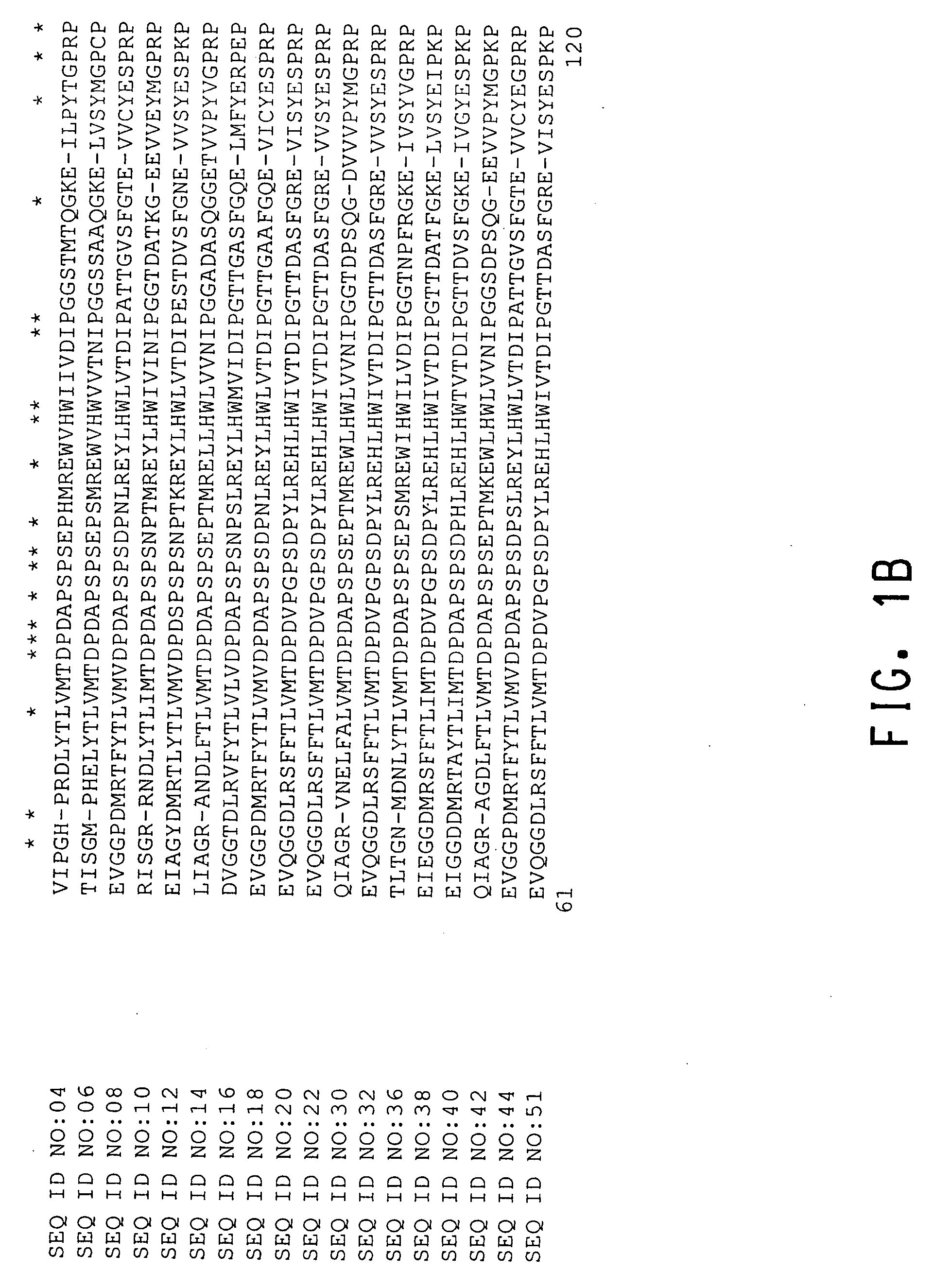 Floral development genes