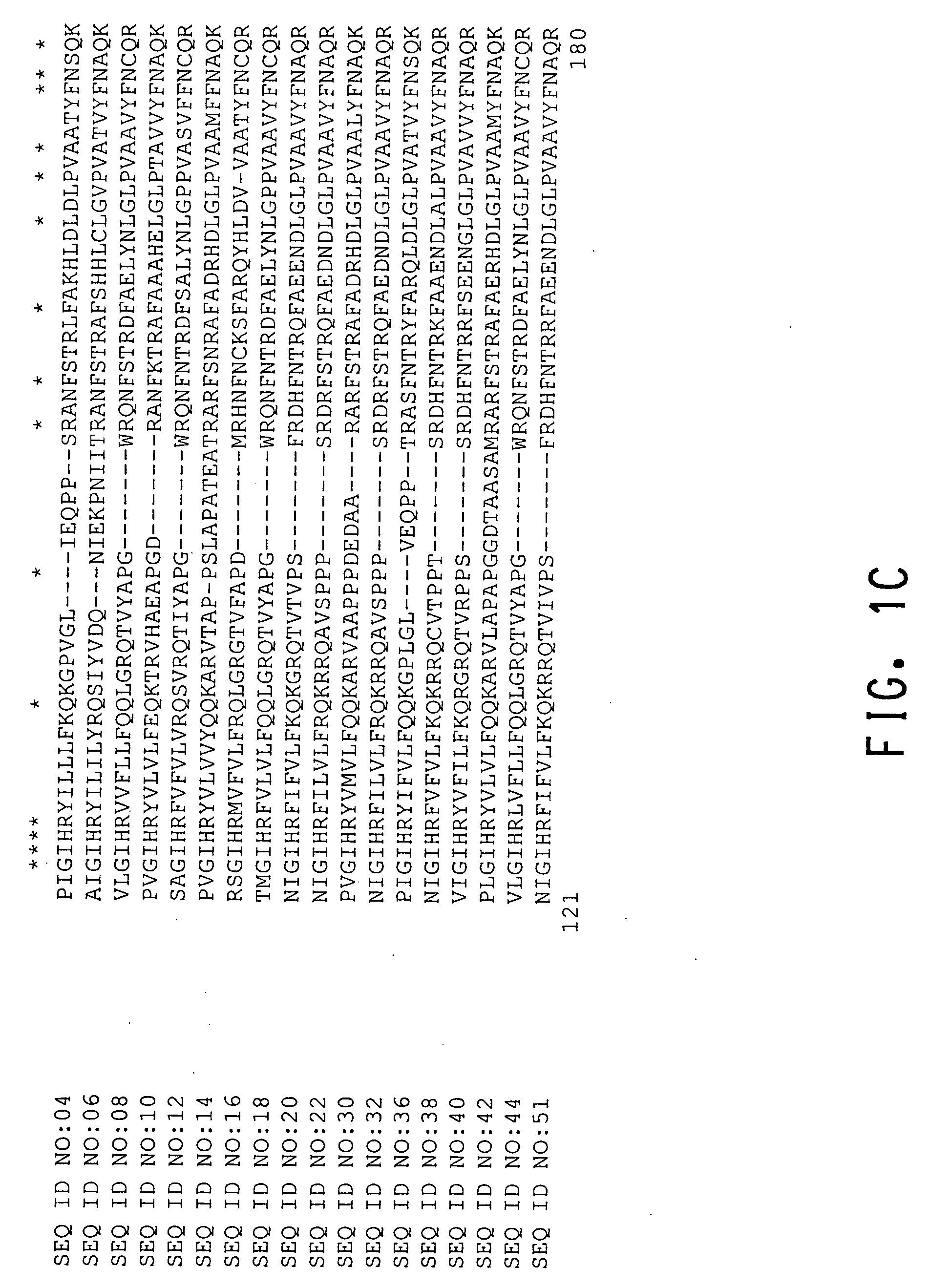 Floral development genes