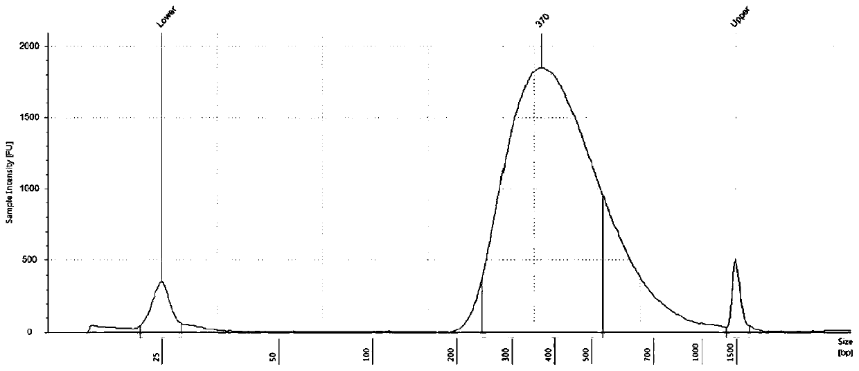 DNA library for detecting and diagnosing pathogenic genes of maturity onset diabetes of young and application of DNA library