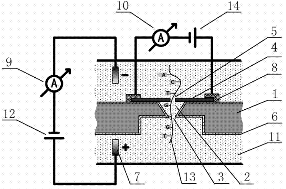 Graphene nanopore-microcavity-solid-state nanopore structure based DNA sequencing device and method