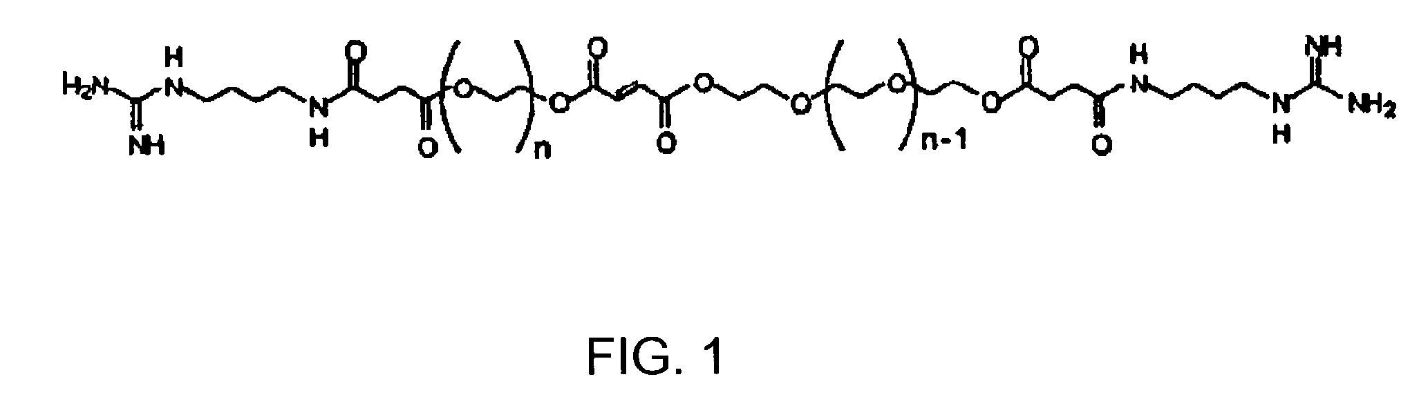 Synthesis and characterization of biodegradable cationic poly(propylene fumarate-co-ethylene glycol) copolymer hydrogels modified with agmatine for enhanced cell adhesion