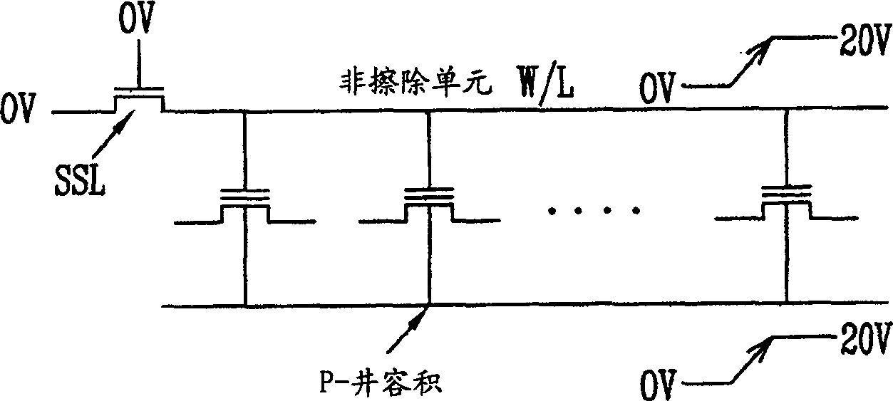 Nand flash memory device and method of forming a well of a nand flash memory device