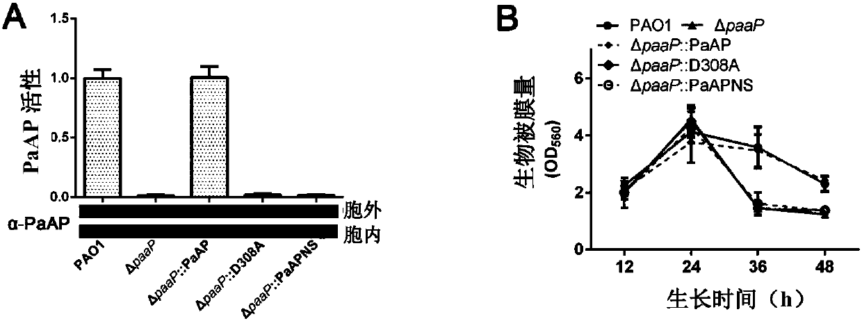 Application of aminopeptidase reducing function