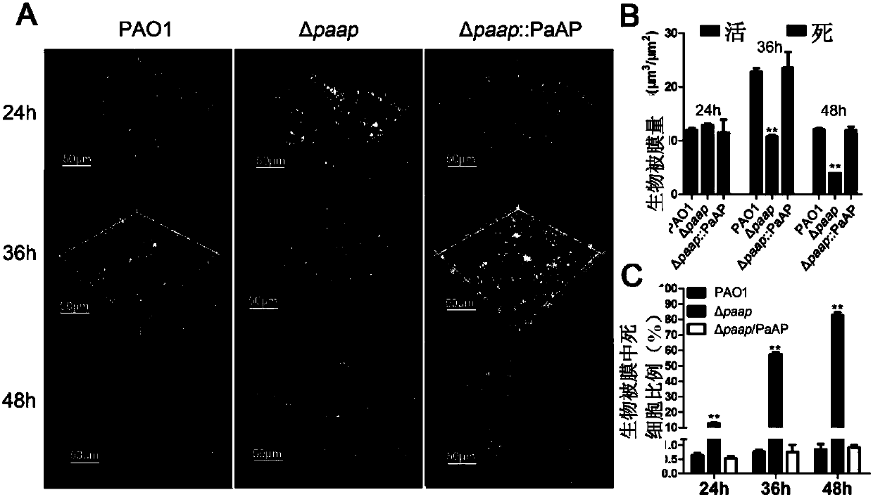 Application of aminopeptidase reducing function