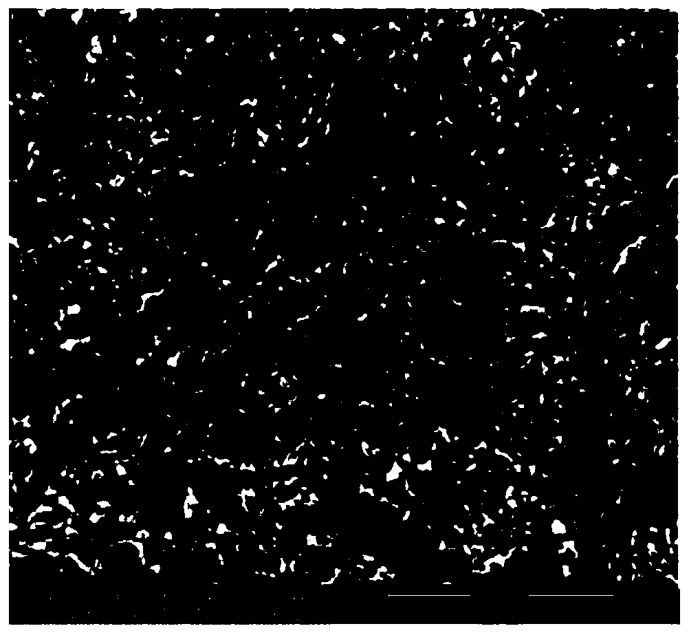 Coarsening micro-etching liquid of sulfuric acid and hydrogen peroxide system and application thereof