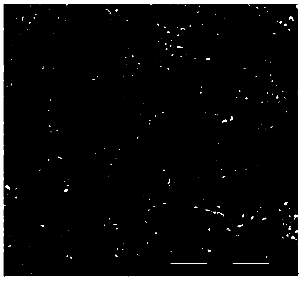 Coarsening micro-etching liquid of sulfuric acid and hydrogen peroxide system and application thereof