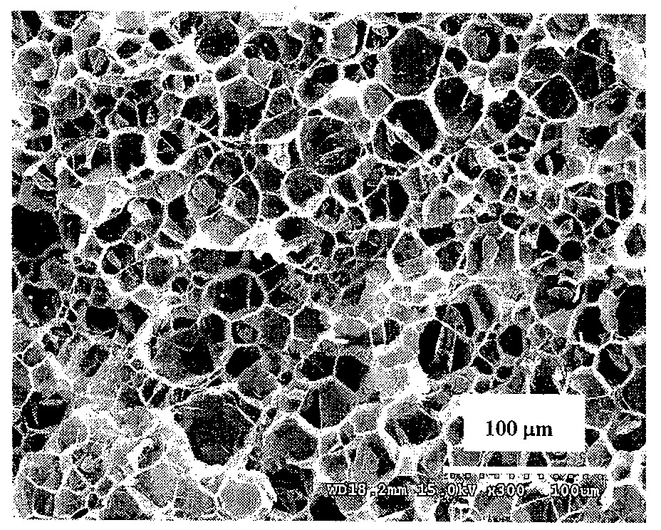 Process for preparing expanded product of thermoplastic resin