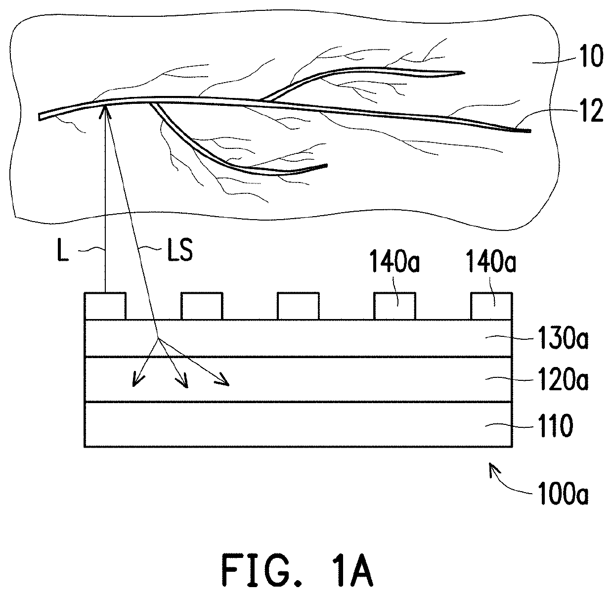 Biometric device and method thereof and wearable carrier