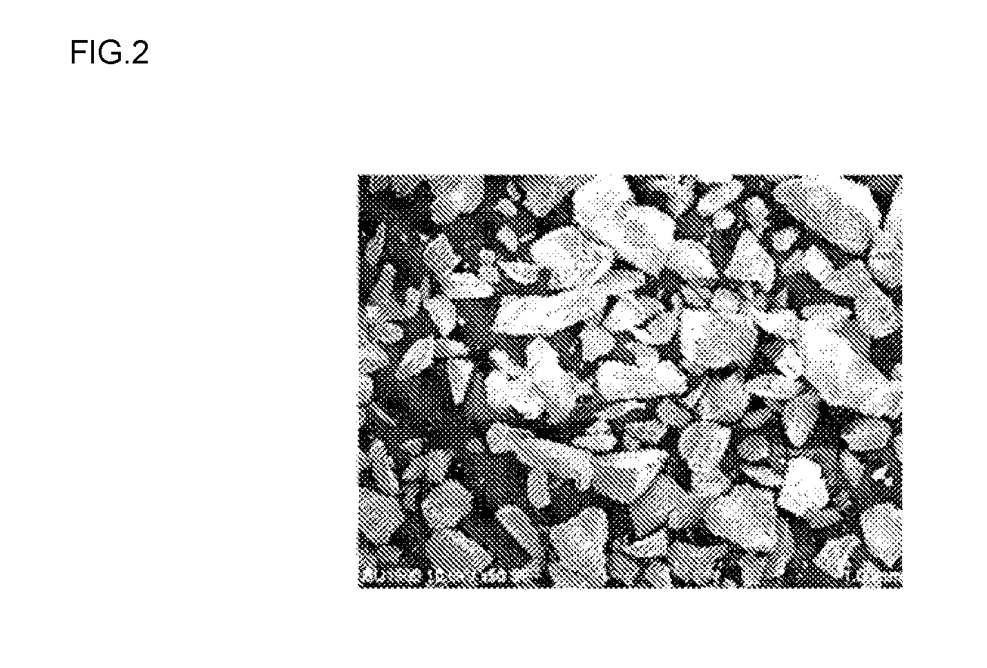 Synthetic amorphous silica powder and process for manufacturing same