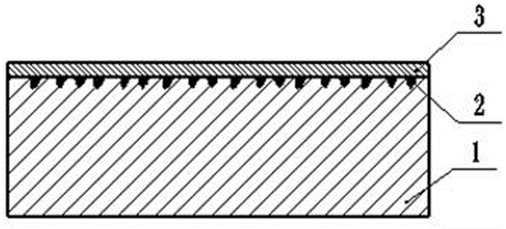 Diamond single crystal surface metallization treatment method