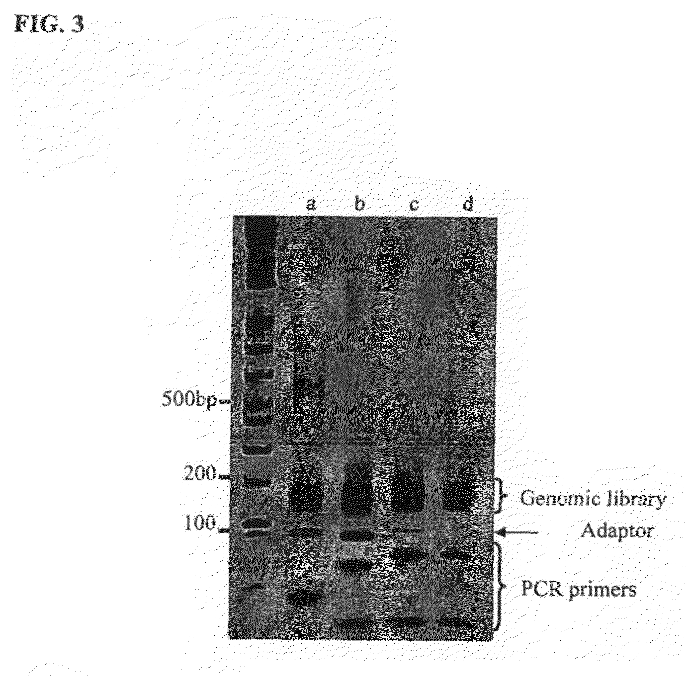 Method of library preparation avoiding the formation of adaptor dimers