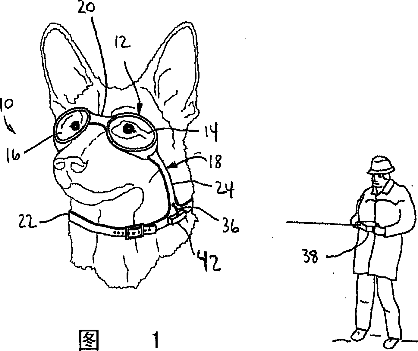 Animal training method and device