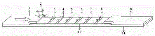 Colloidal gold test strip for simultaneous detection of five staphylococcus aureus enterotoxins and preparation method thereof