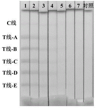 Colloidal gold test strip for simultaneous detection of five staphylococcus aureus enterotoxins and preparation method thereof