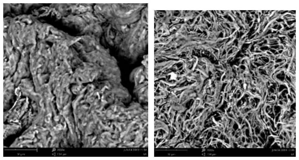 Method for preparing white rot fungus liquid culture medium by using leather making waste and application