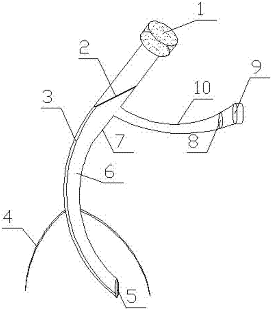 Implantable intracranial drug delivery cannula suitable for neurosciences research