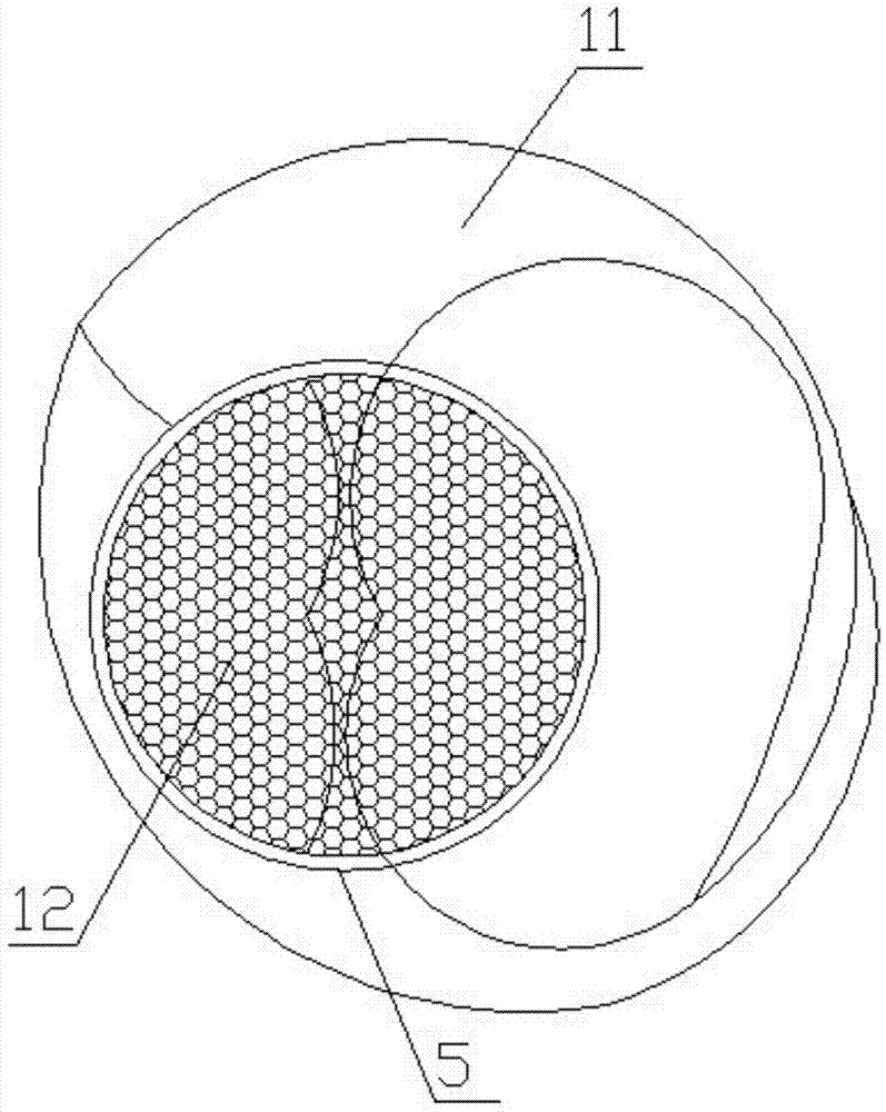 Implantable intracranial drug delivery cannula suitable for neurosciences research