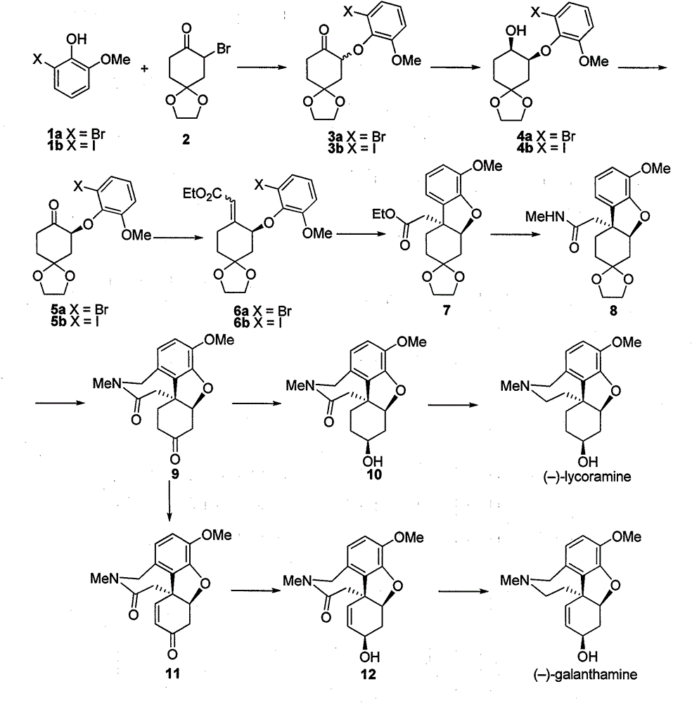 Asymmetric synthesis method for galanthamine and lycoramine