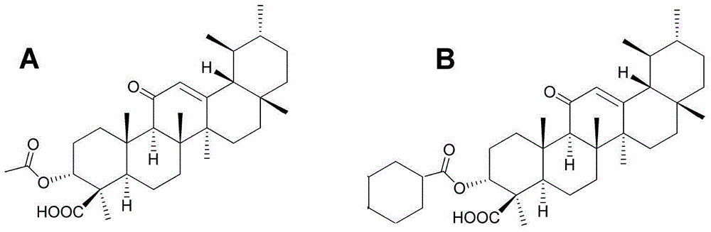 Pentacyclic triterpenes compound with ACC1 protein regulation effect and use of pentacyclic triterpenes compound