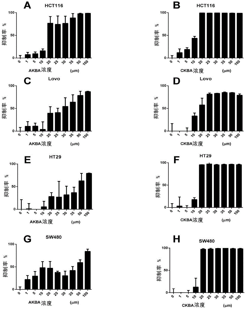 Pentacyclic triterpenes compound with ACC1 protein regulation effect and use of pentacyclic triterpenes compound