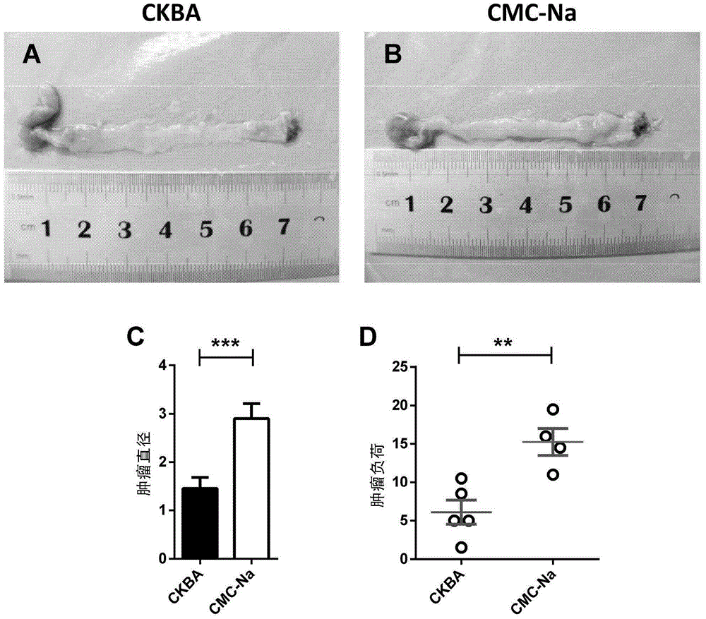 Pentacyclic triterpenes compound with ACC1 protein regulation effect and use of pentacyclic triterpenes compound