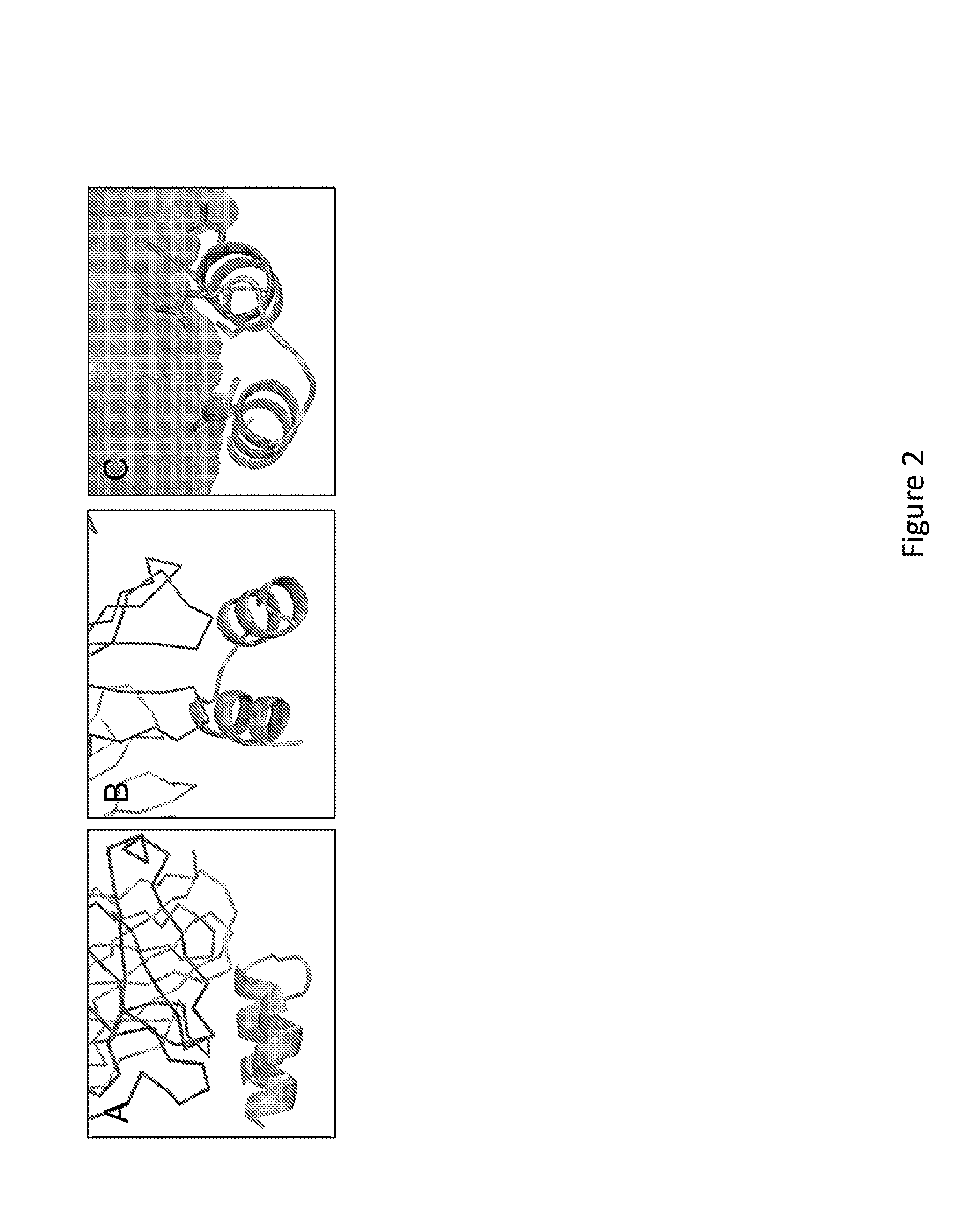 Polypeptides and their Use in Treating and Limiting Respiratory Syncytial Virus Infection