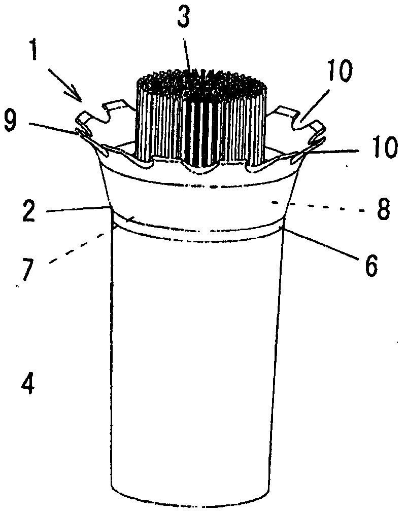 Cleaning tool with brush