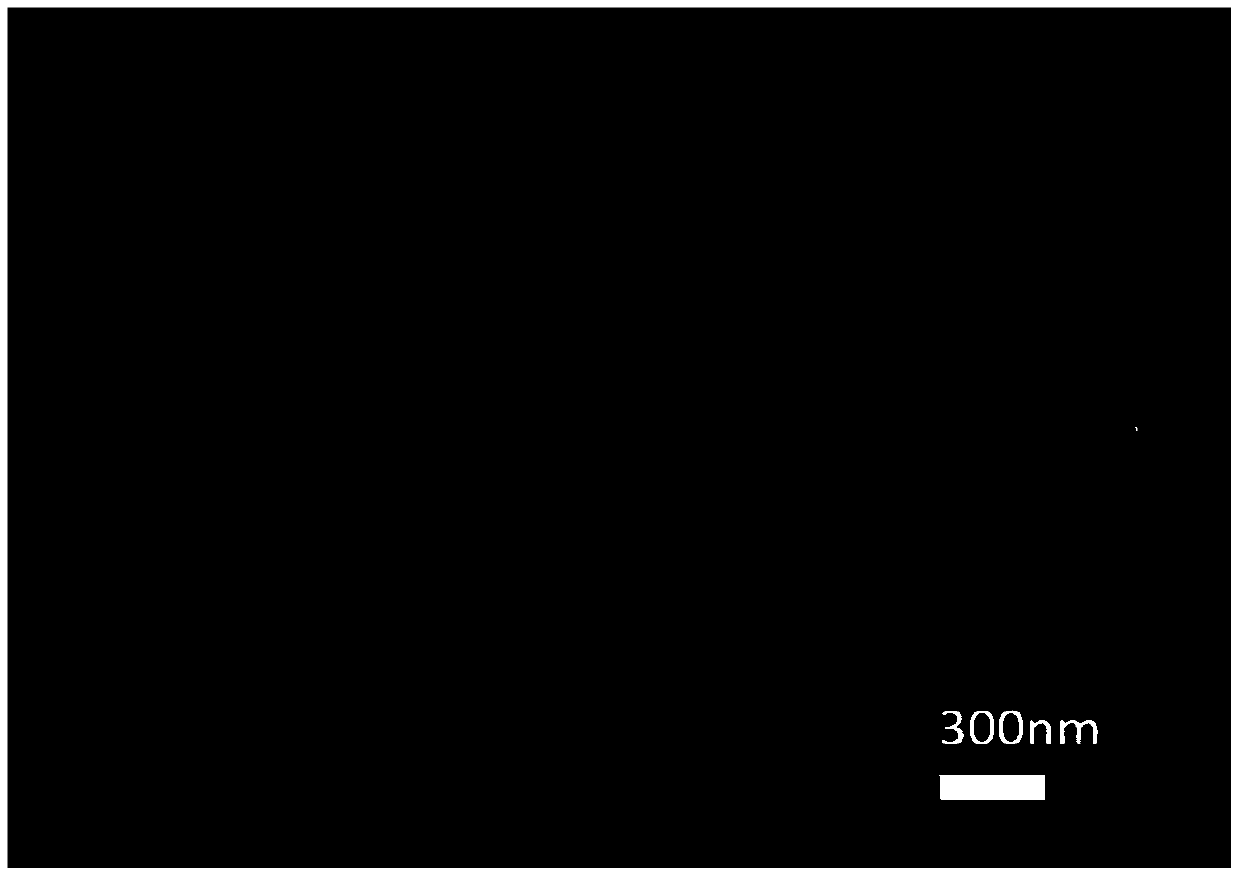 X-ray detector based on nano carbon material/silicon heterojunction and preparation method thereof