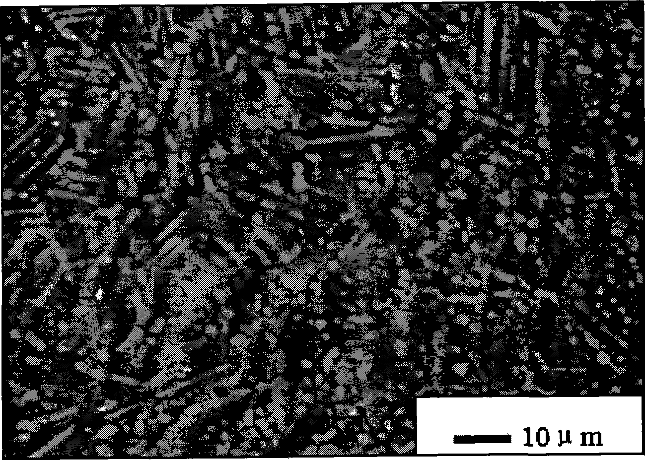 Large-size corrosion resisting neodymium iron boron permanent magnetic material and manufacturing process thereof