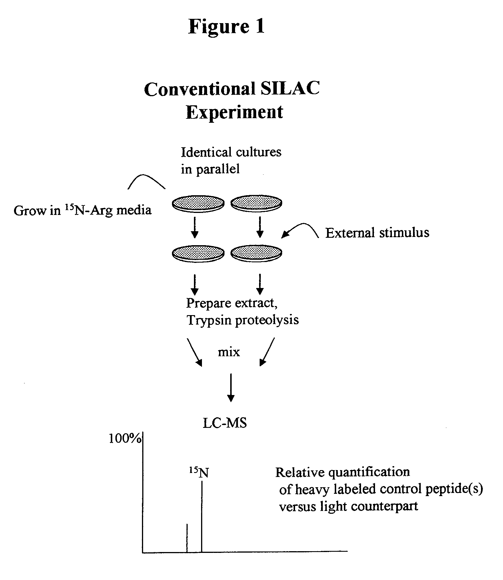 Isotopically-labeled proteome standards