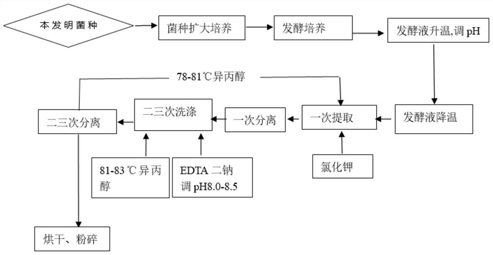 Sphingomonas and technology of sphingomonas to produce high-quality welan gum