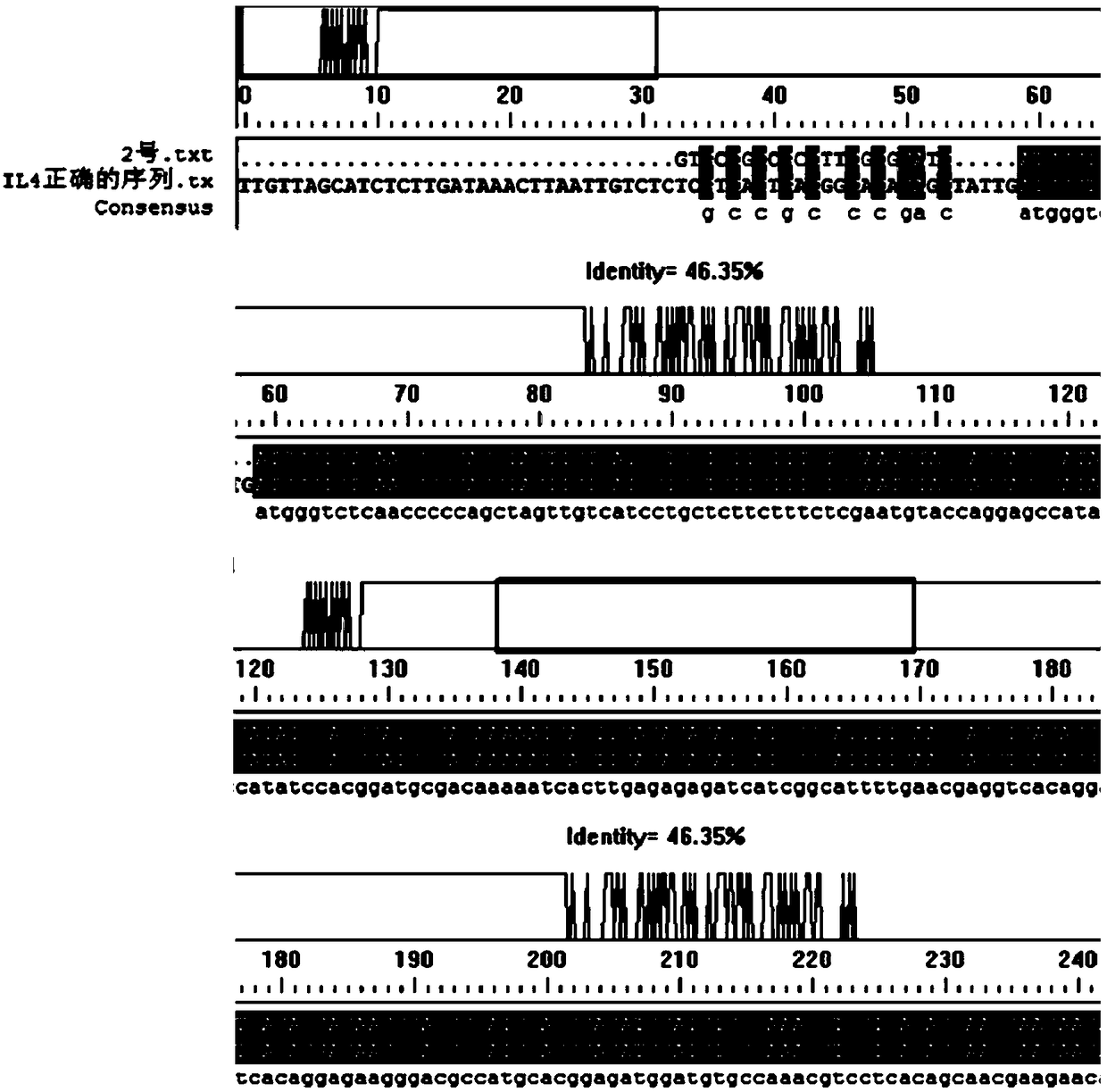 Recombinant adeno-associated virus expressing IL-4 and preparation method and application thereof