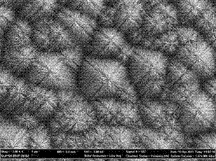 Light trapping structure based on nano-zinc oxide silicon heterojunction battery, and preparation method of the light trapping structure