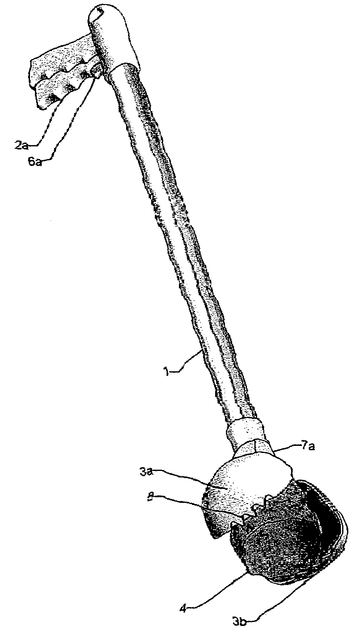 Pickup device for animal waste