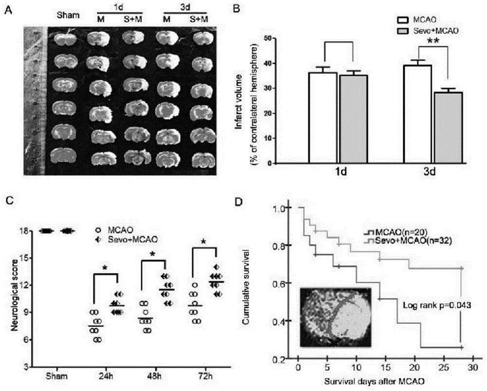 Application of sevoflurane to preparing nerve regeneration promoting medicine