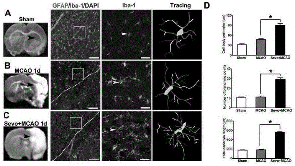 Application of sevoflurane to preparing nerve regeneration promoting medicine