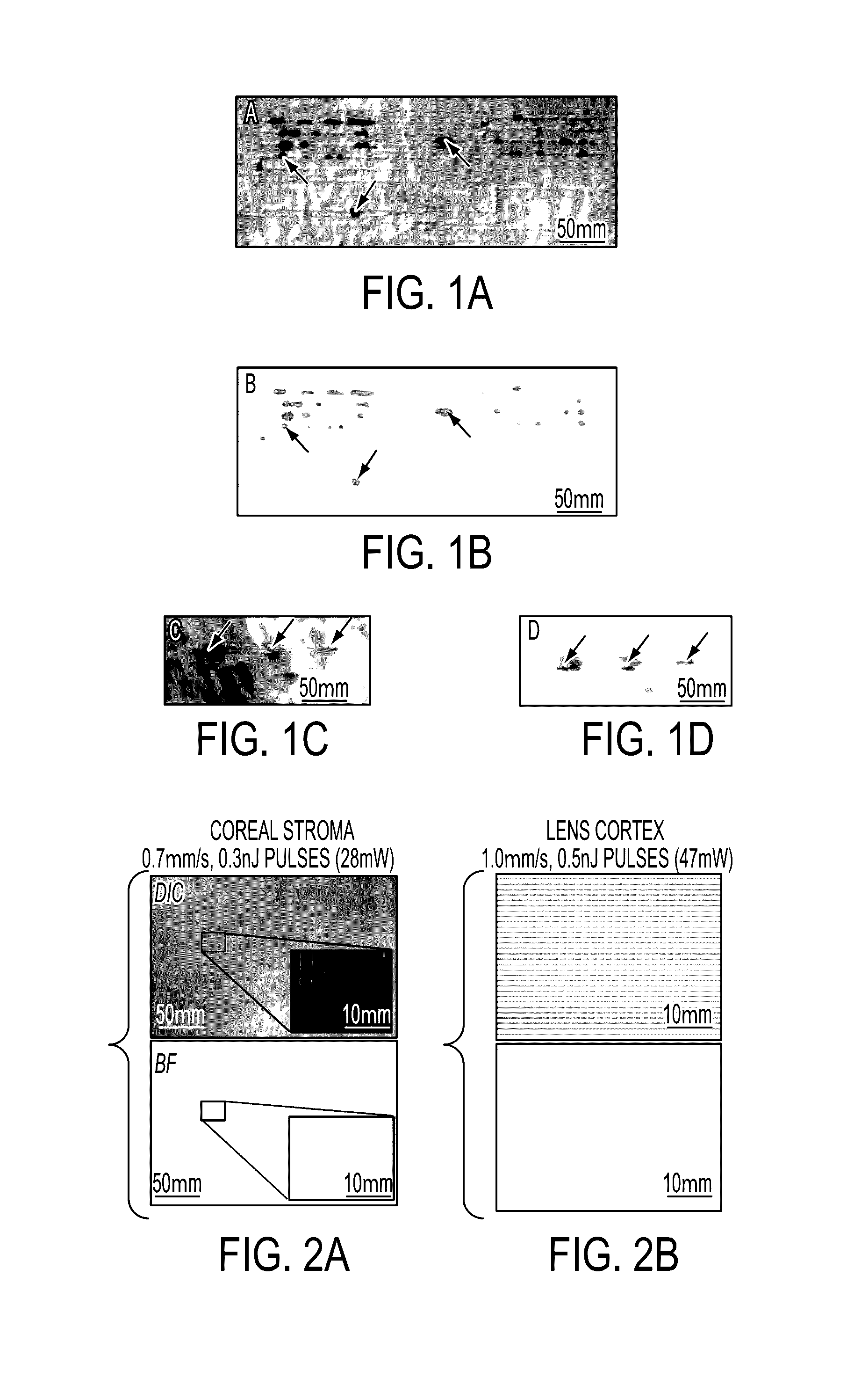 Multi-photon absorption for femtosecond micromachining and refractive index modification of tissues