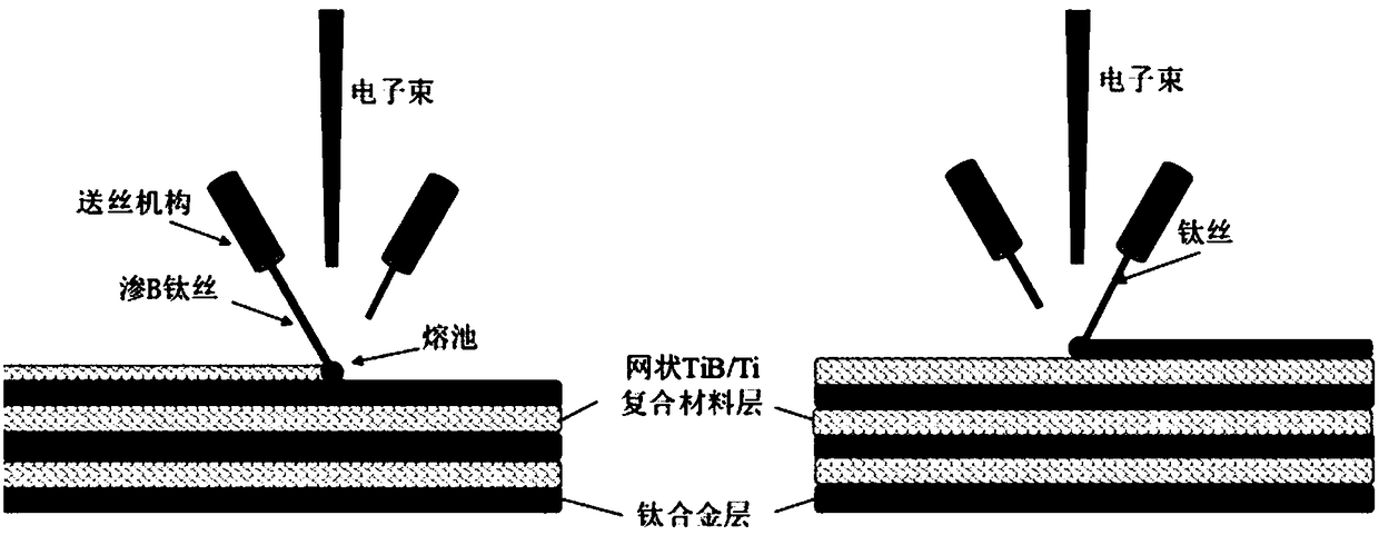 Quick formation method of titanium-based composite material having bionic shell structure