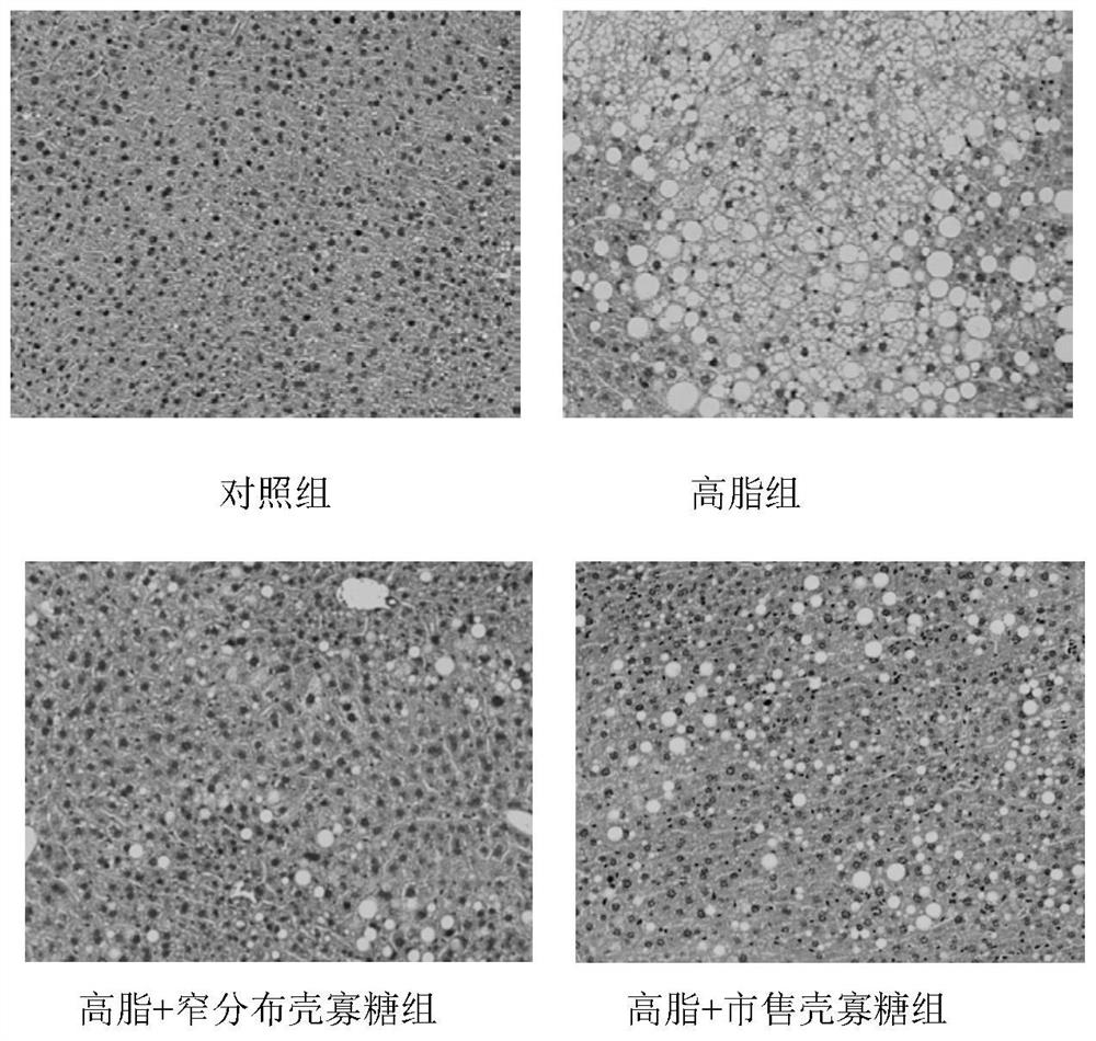 Application of narrowly distributed chitosan oligosaccharides in the preparation of functional foods for the prevention of long-term high-fat diet-induced hyperglycemia