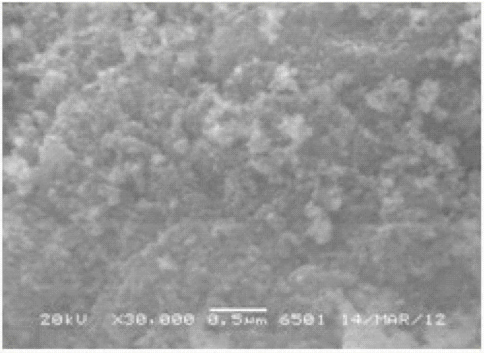 Application of polyacrylic acid in preparation of lithium ion battery anode material nano-sized iron oxide/carbon composite material