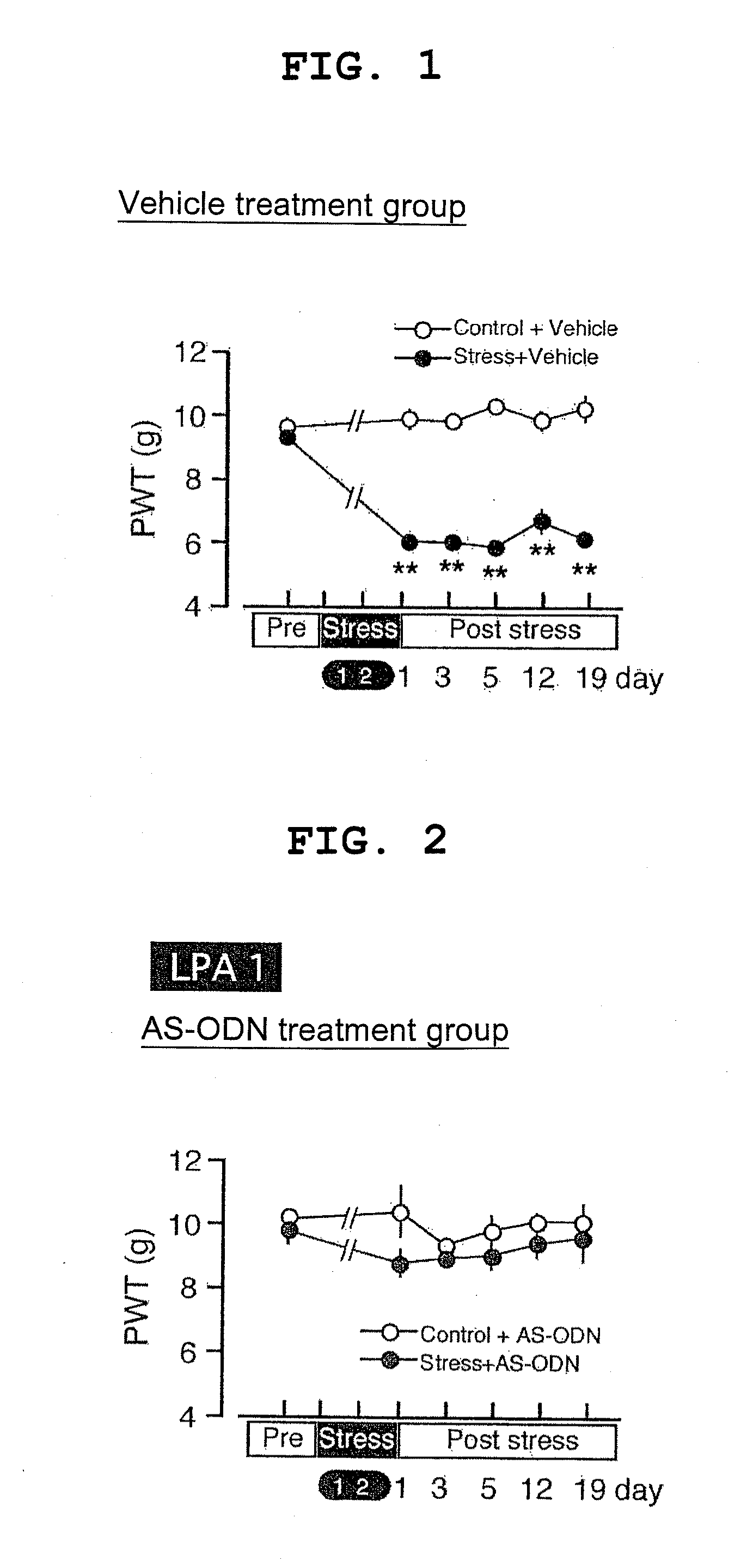 Therapeutic or prophylactic agent for generalized pain syndrome