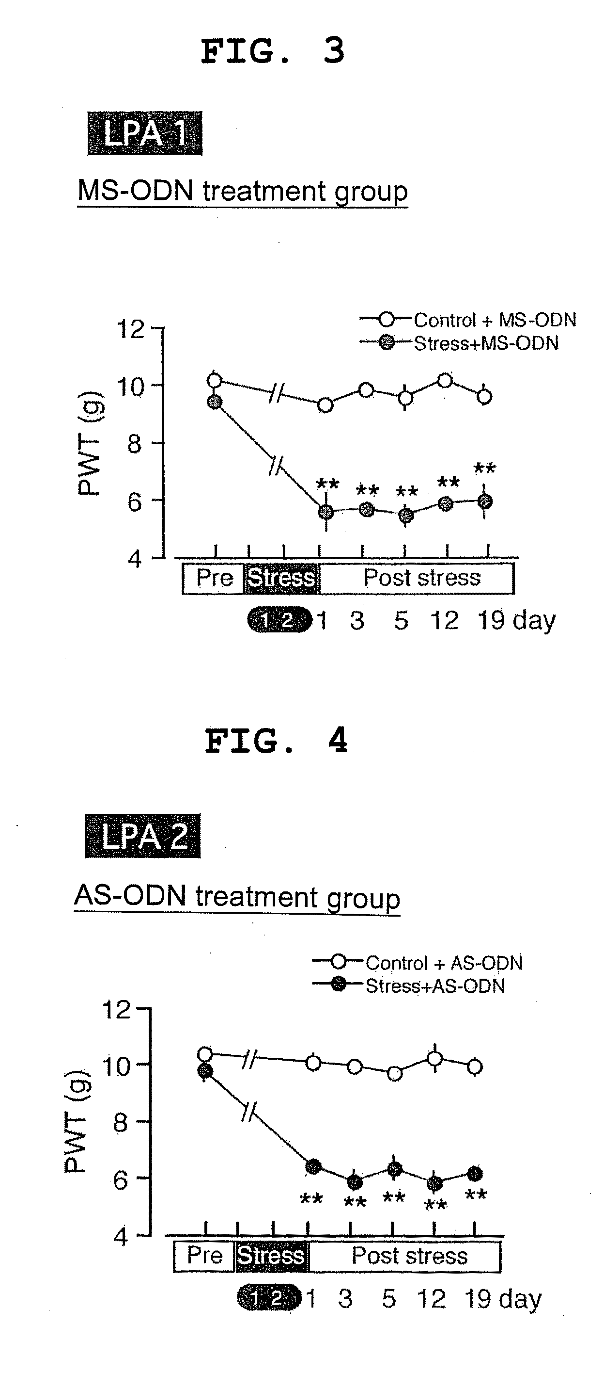 Therapeutic or prophylactic agent for generalized pain syndrome