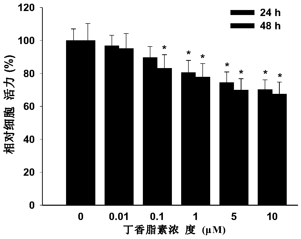 Application of syringaresinol in preparation of drugs for resisting rheumatoid arthritis