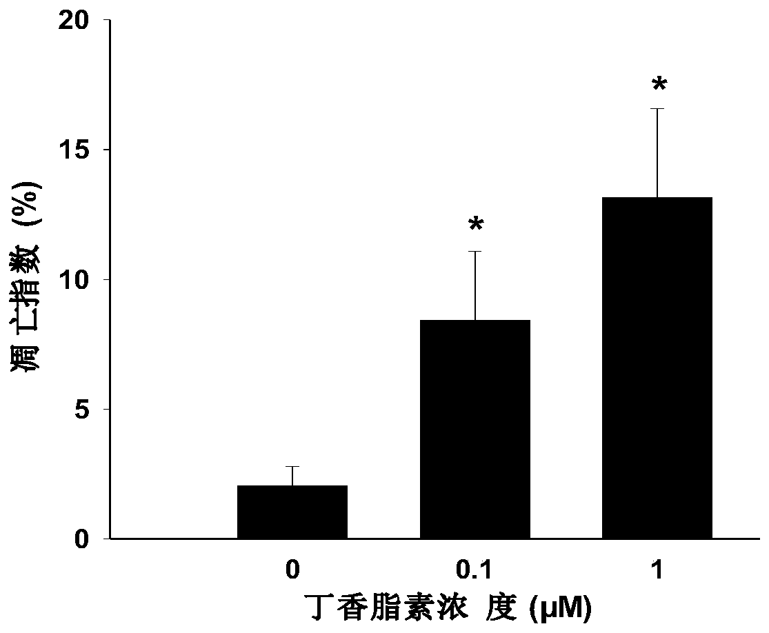 Application of syringaresinol in preparation of drugs for resisting rheumatoid arthritis