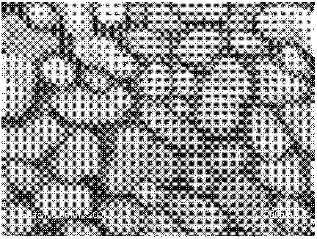 Preparation method for large area surface-enhanced Raman active substrate by inclination growth