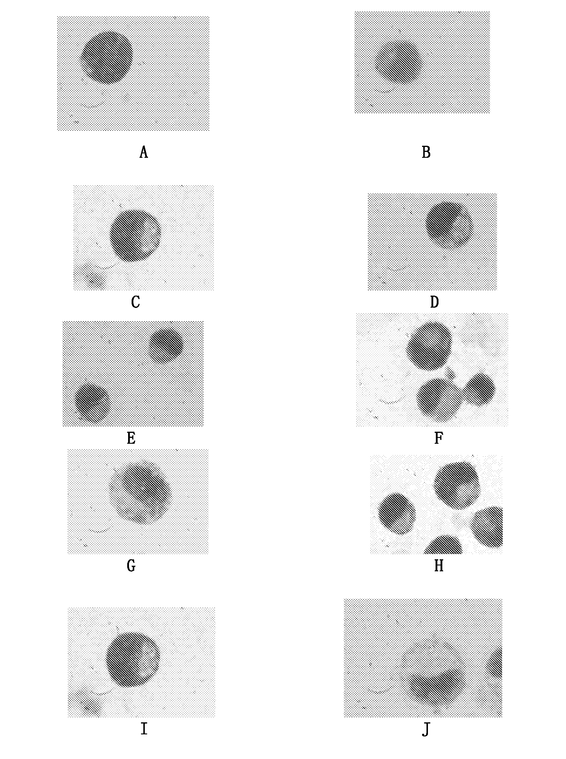 Retinoid Derivative and Pharmaceutical Composition and Use Thereof