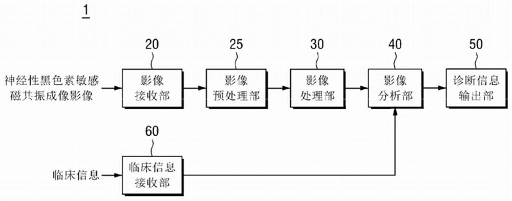 Apparatus and method for providing Parkinson's disease information using nerve melanin image