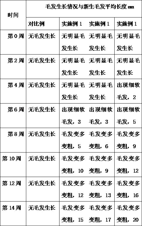 Anti-hair loss and hair growth essence containing fennelflower seeds and azelaic acid and preparation method thereof